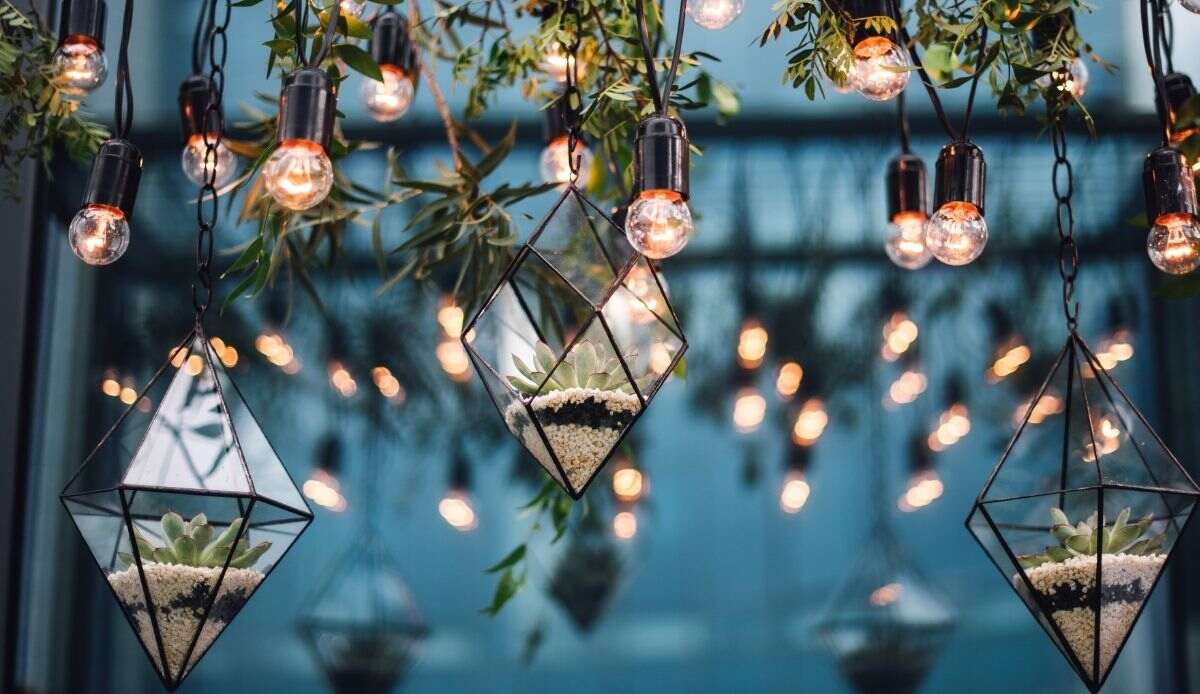 Creative and original garden