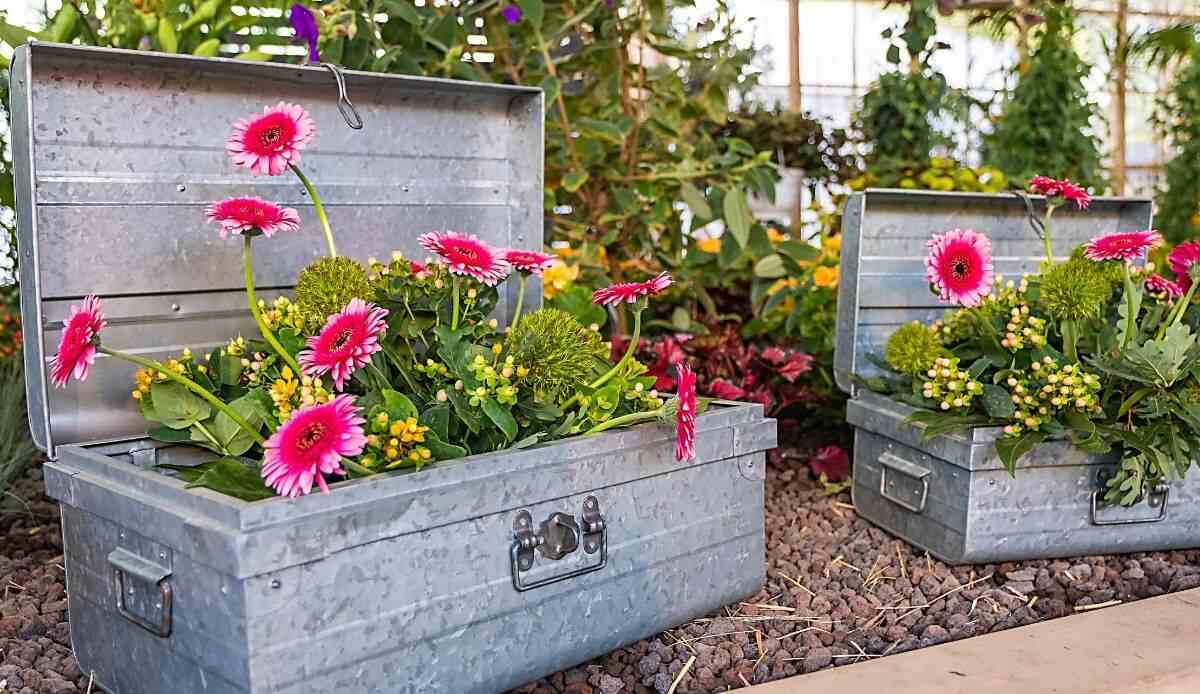 Creative and original garden