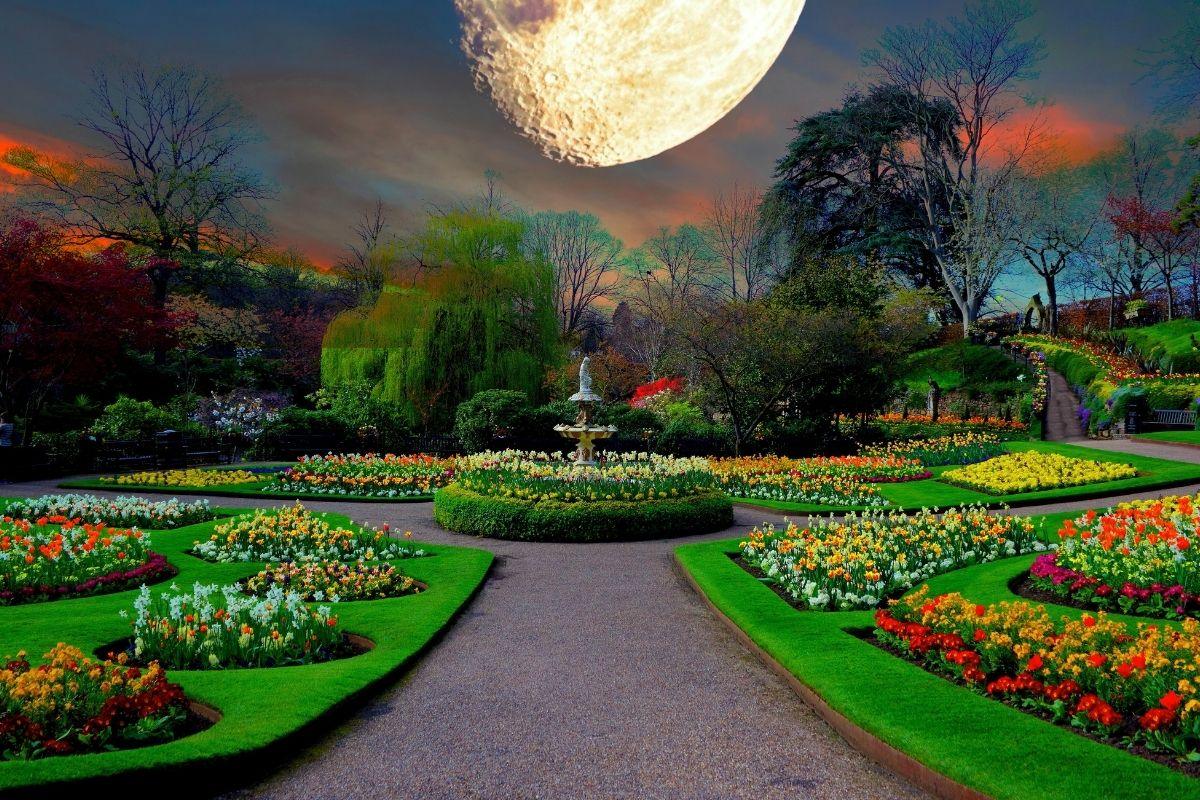 When to plant vegetables and flowers in 2025. May: Favorable dates under the lunar calendar