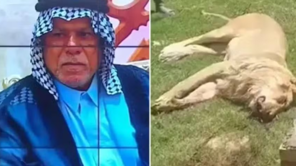 Man dies after being attacked by a lion he created at home