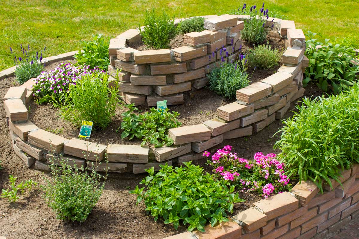 Circular DIY flowerbeds for seedlings and aromatic herbs