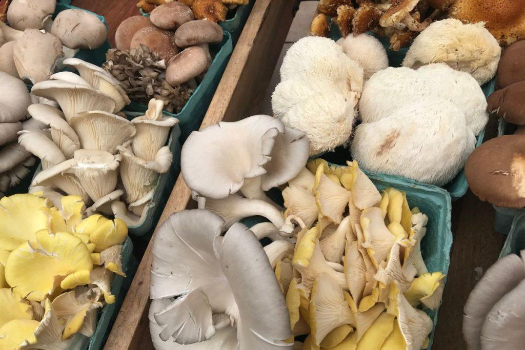 Delicious mushroom