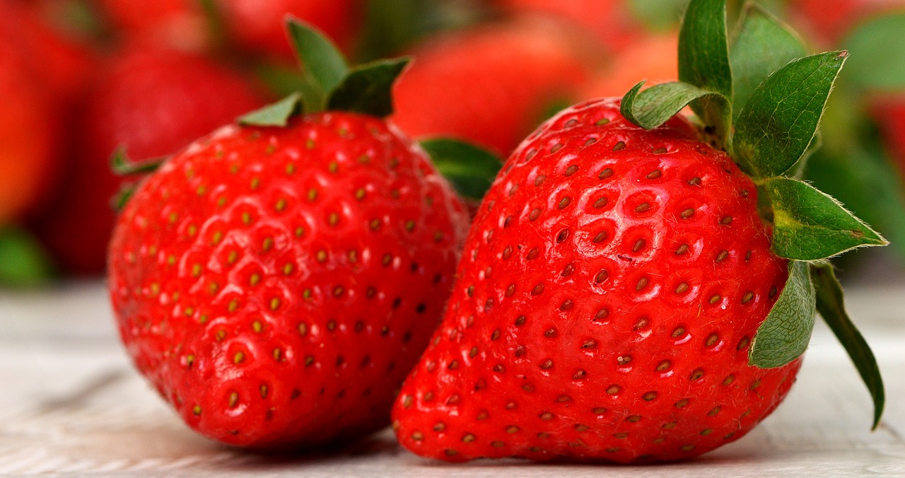 How do you fertilize the strawberries during the flowering period to make the harvest even more abundant?