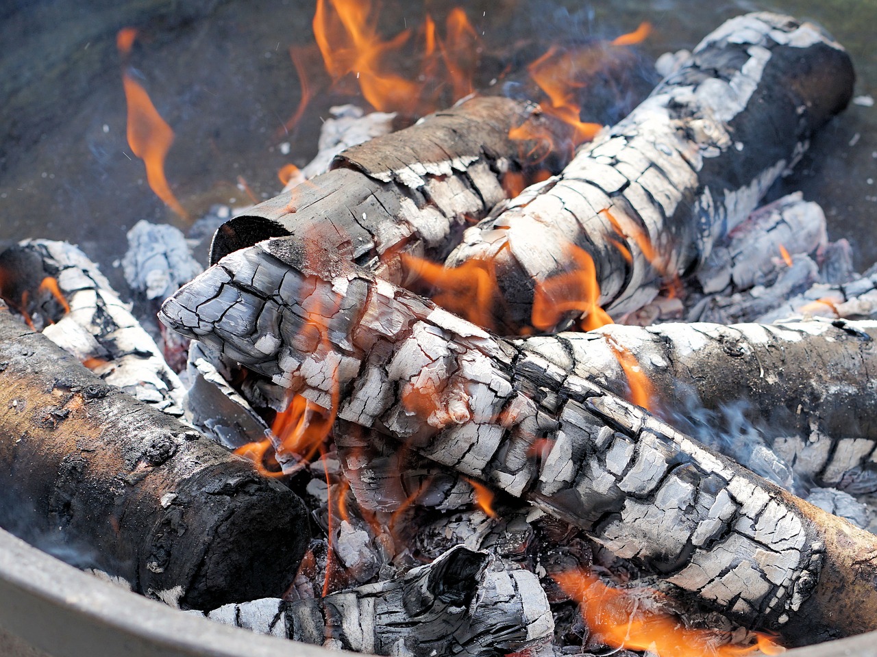 Use of birch ash