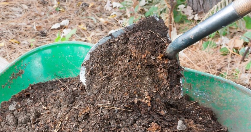 Compost is worth controlling so that it does not turn out that it is harmful /123RF /PICSEL
