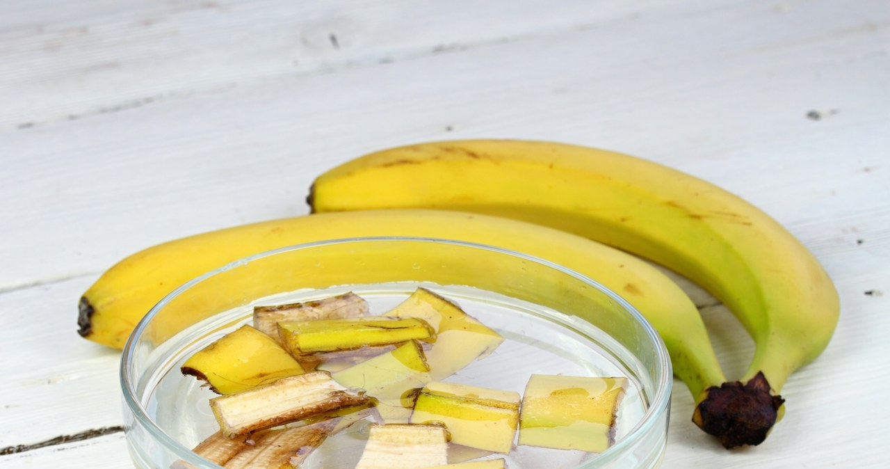 Banana peel fertilizer is great for Róż /123RF.Com /123RF /PICSEL
