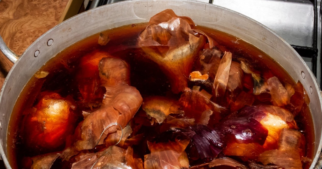 Onion shell extract is rich nutrients that cucumbers take from the soil. Thanks to its use, the vegetables are healthier, stronger and more resistant to diseases /123RF /PICSEL