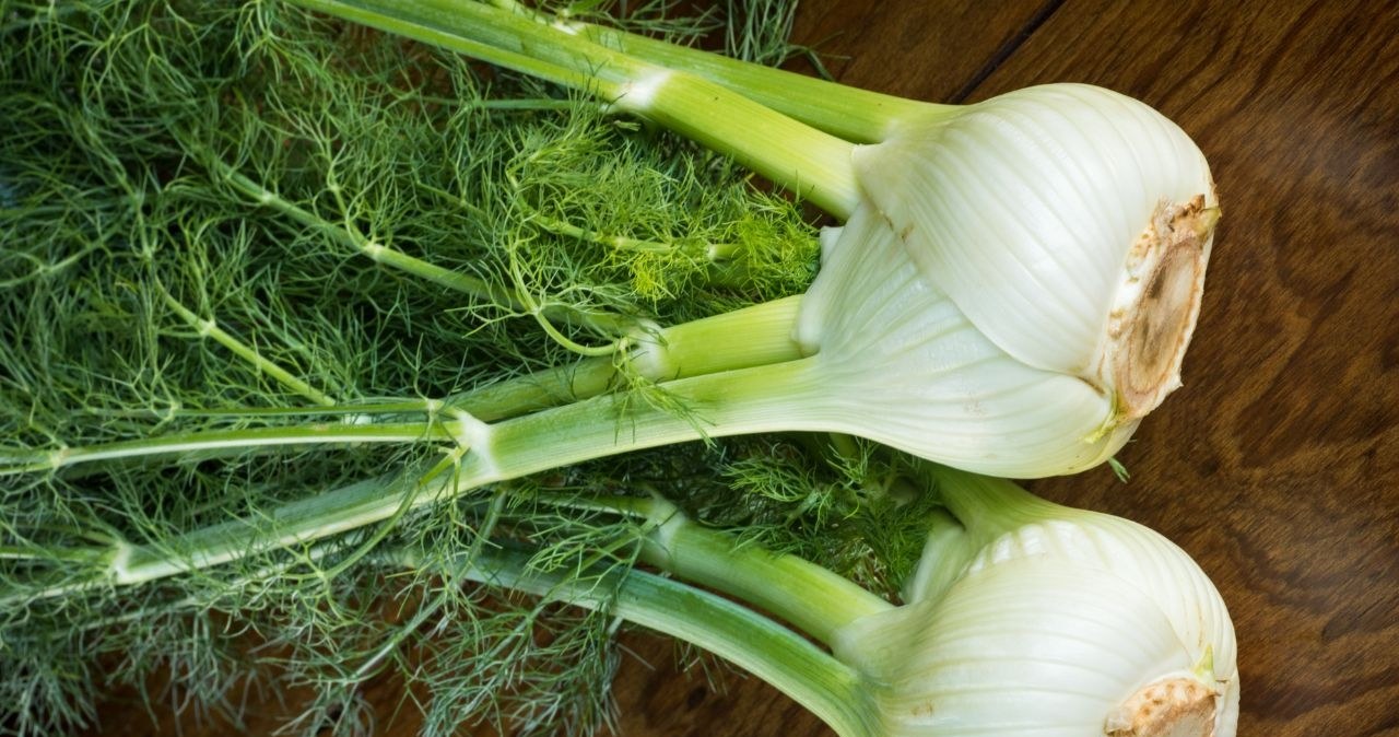 Edible parts of the fennel are both tubers, leaves and seeds. /Markskalny /Canva Pro
