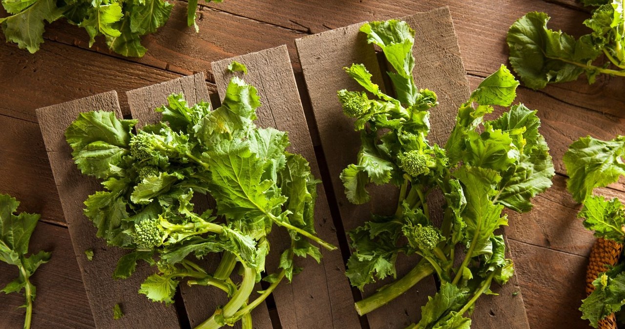 Rapini inflorescences resemble small broccoli roses /Bhofack2 /Canva Pro
