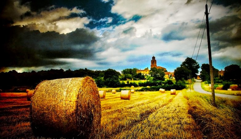 The world is producing more food than ever. The days of abundance are counted