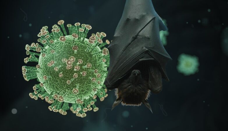 Possible HKU5 virus mutation of bats leaves scientists worried