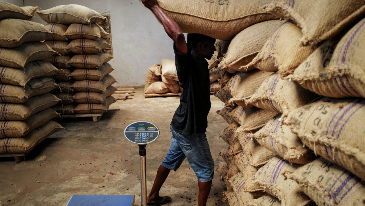Agromafia: How the Italian "Manolades" - "Slave Market" works with victims of land workers