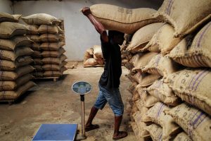 Agromafia: How the Italian "Manolades" - "Slave Market" works with victims of land workers