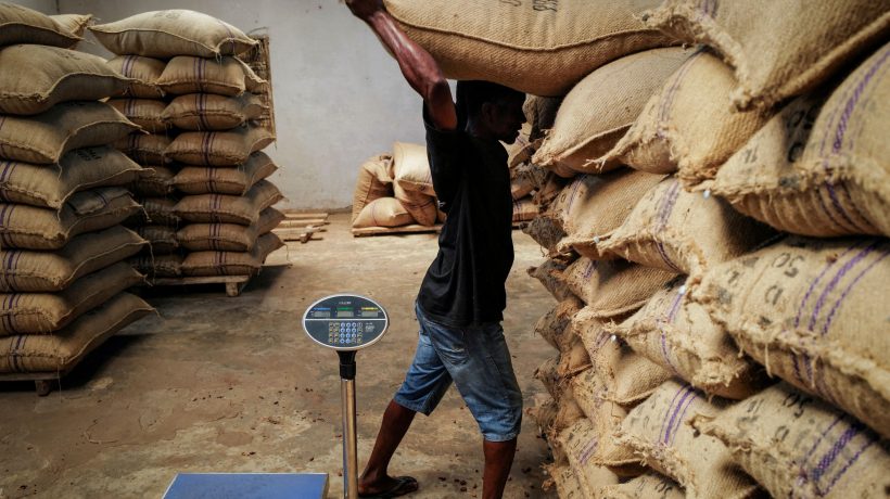 Agromafia: How the Italian "Manolades" - "Slave Market" works with victims of land workers