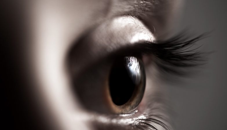 A "shot" in the eye took mice from blindness. The next are humans