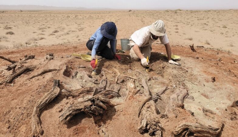 Archaeologists unveil secrets of Gobi's mysterious wall