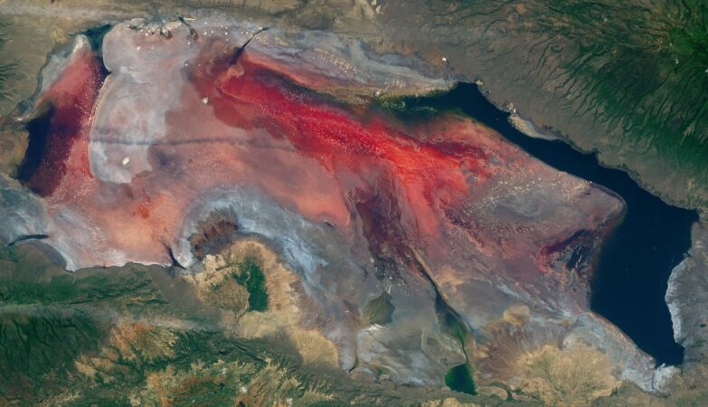 The most hostile place in Africa is a red lake that converts animals into “stone”