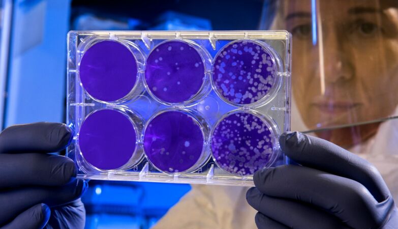 Solved 30 -year mystery about micronutrient that can be key to cancer prevention