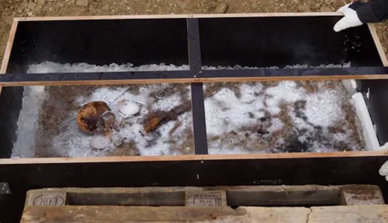 Prince of Ice: Blue -eyed child was buried with a piglet 1,350 years ago in Bavaria