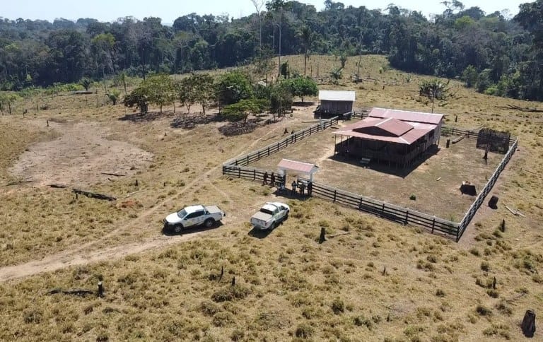 Operation at Reserve Chico Mendes aims at the withdrawal of illegal occupants - Jornal A Gazeta do Acre