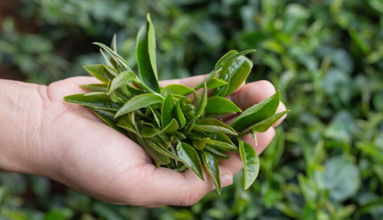 The tea we call tea is not called tea