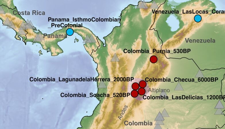 Discovered traces of ancient mysterious human population in Colombia