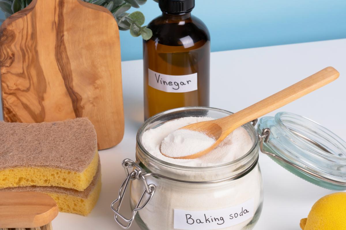 The DIY remedy against mold in the house