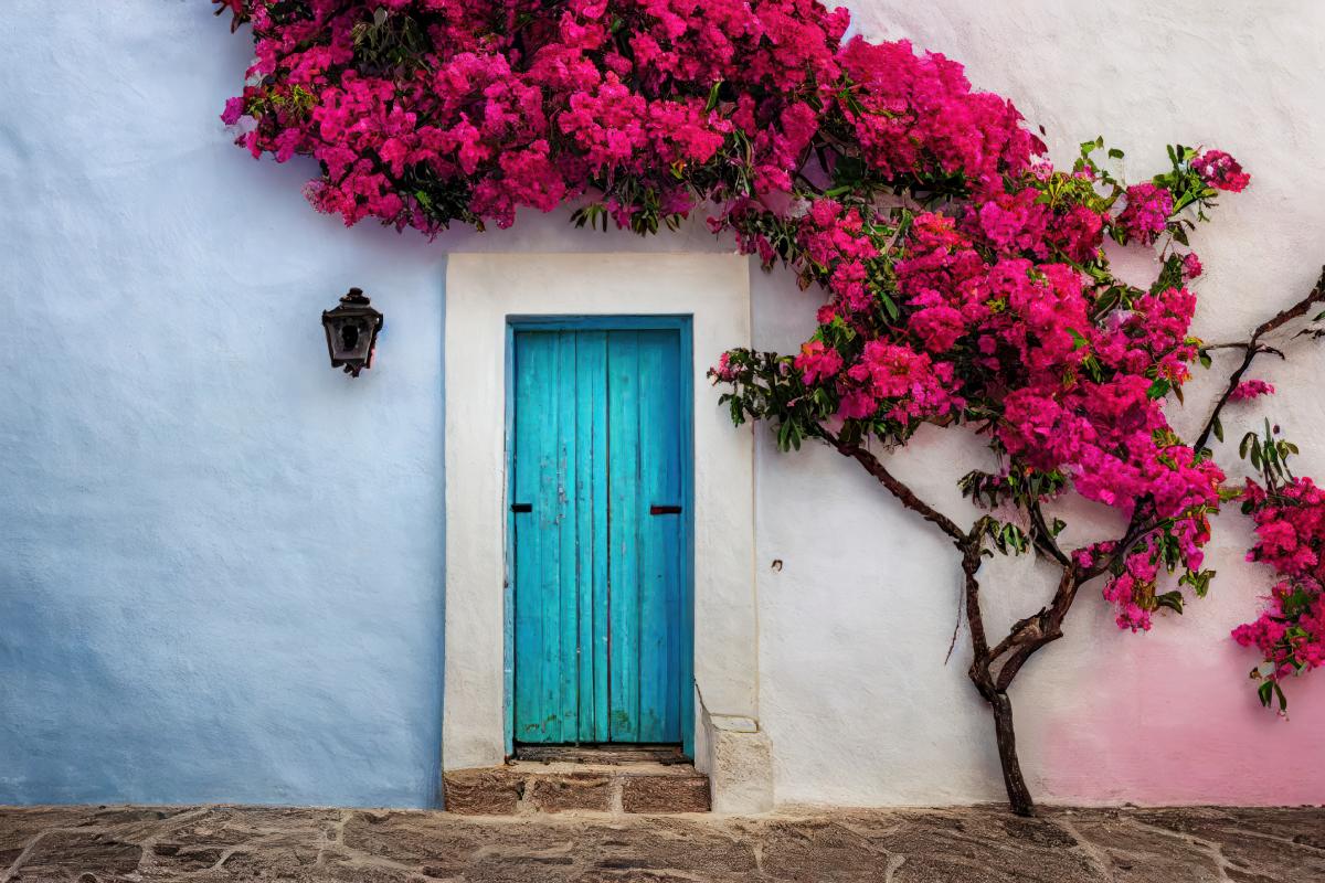 The plants that resist in the heat