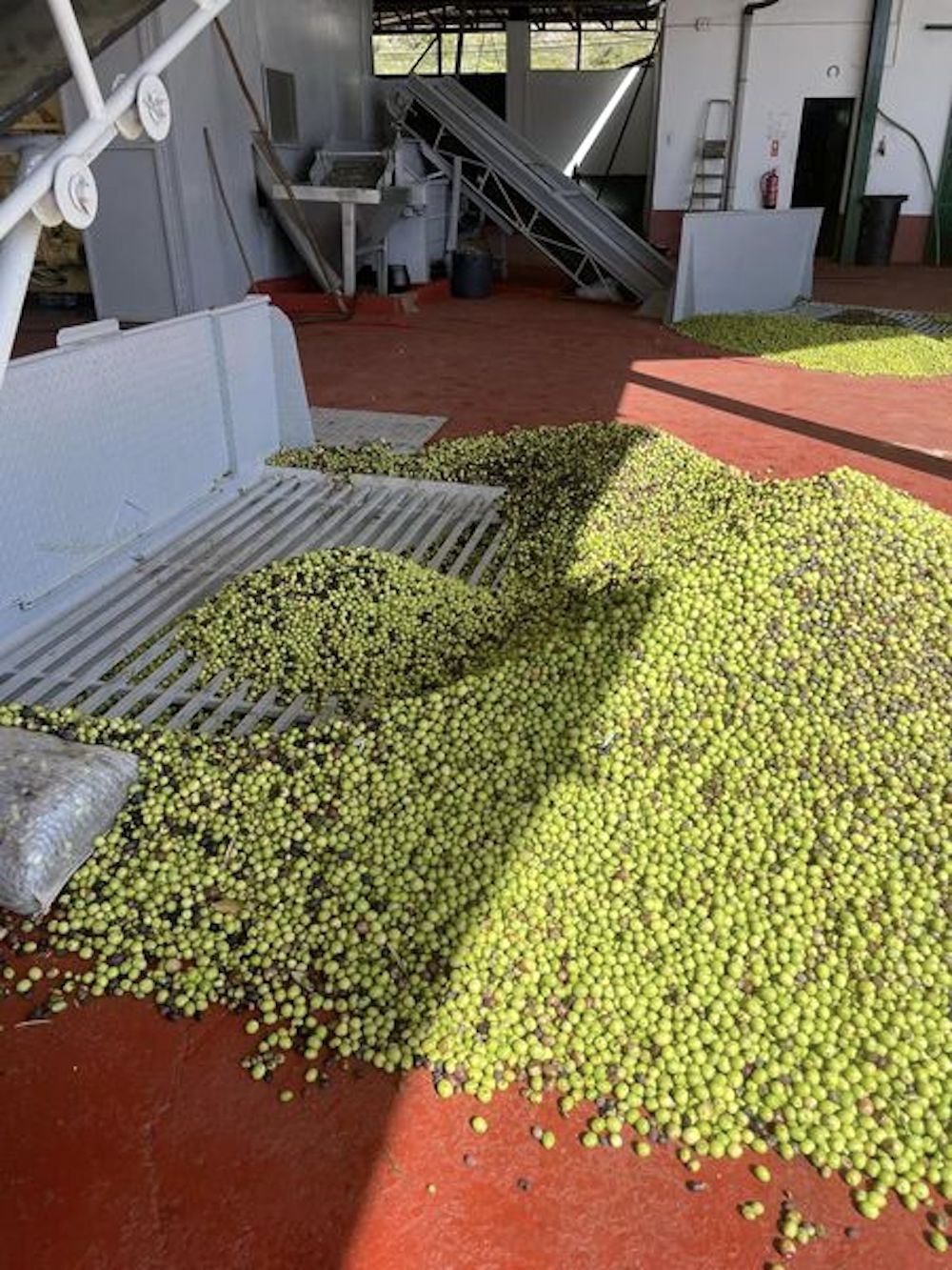 CCDR Algarve prepares new edition of the Innovation Award - Mediterranean Diet