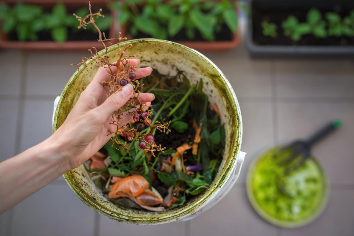 Compost can also be done on the balcony