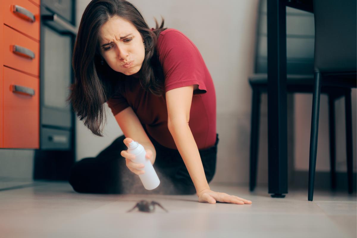 The vinegar, lemon and eucalyptus spray that eliminates insects in the house