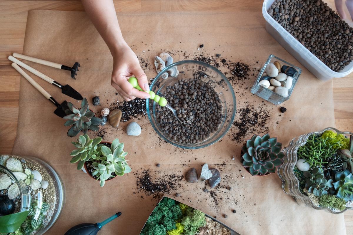 The stones drain the plants