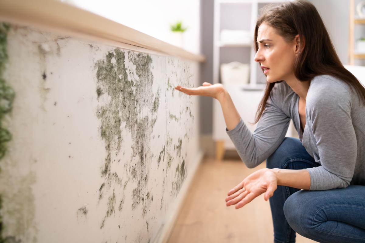 How to eliminate the stench of mold in the house