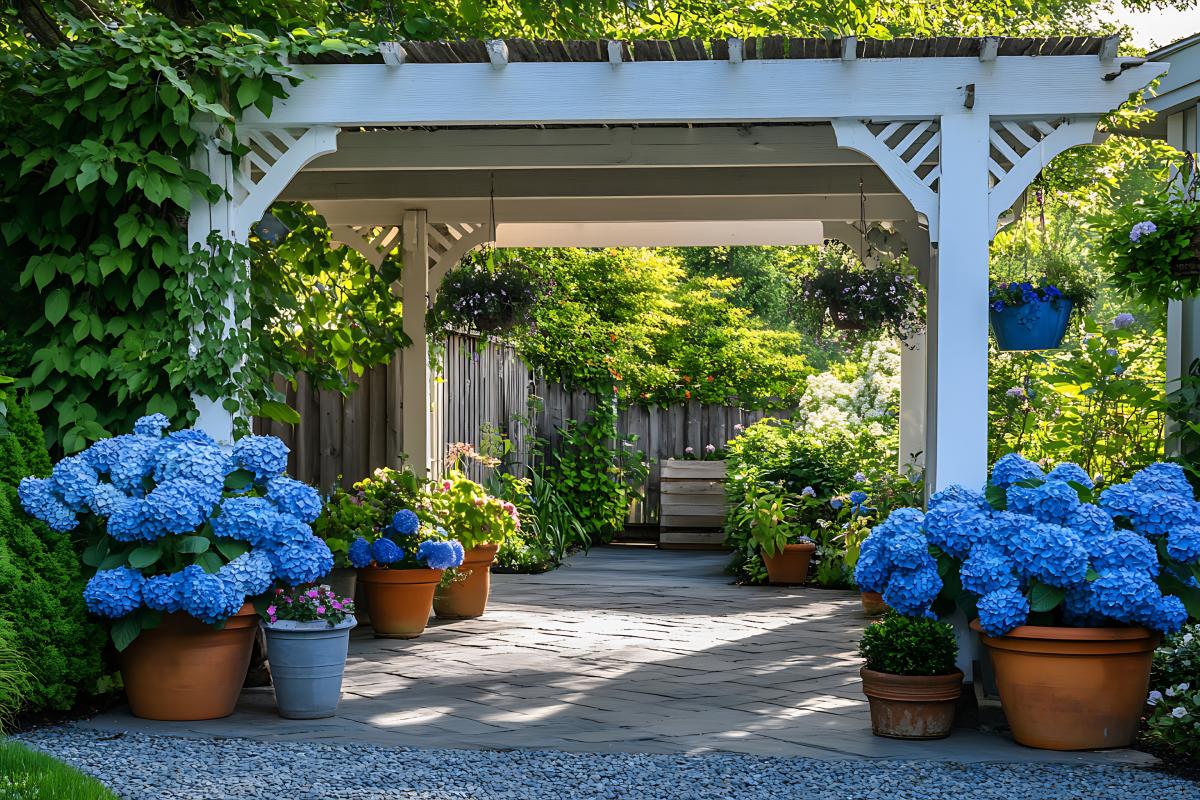 Keep the color of the hydrangeas alive all summer