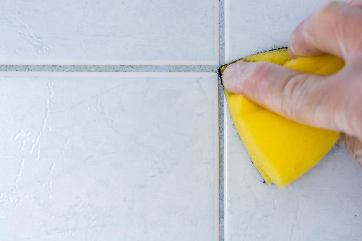 Cleaning house elements