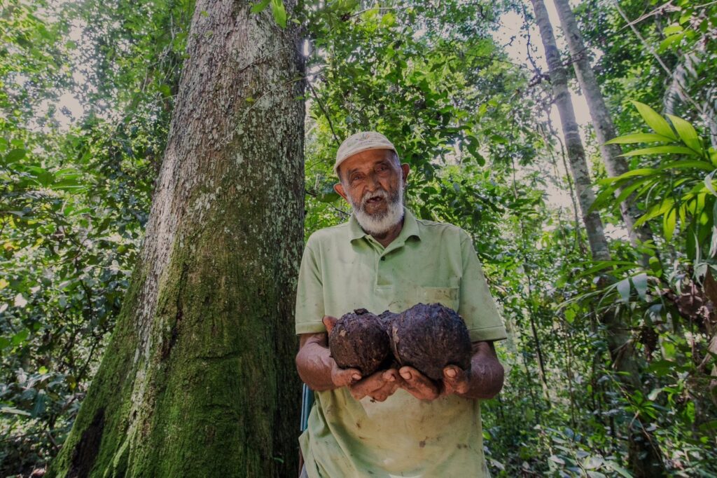 Chico Mendes cousin suffers death threats during ICMBio operation in reserve