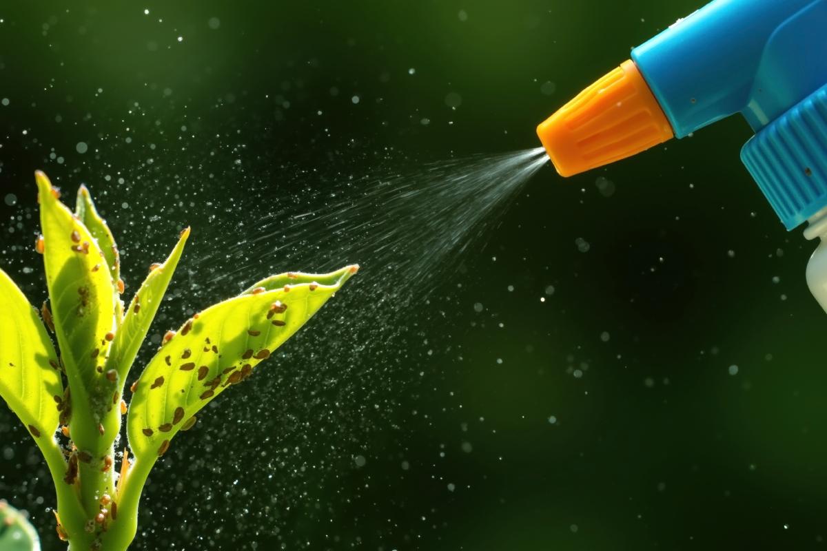 Anti -coachille spray
