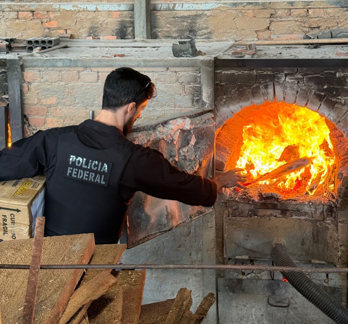 PF incinera 400 kg of drugs in Rio Branco in megaoperation against organized crime