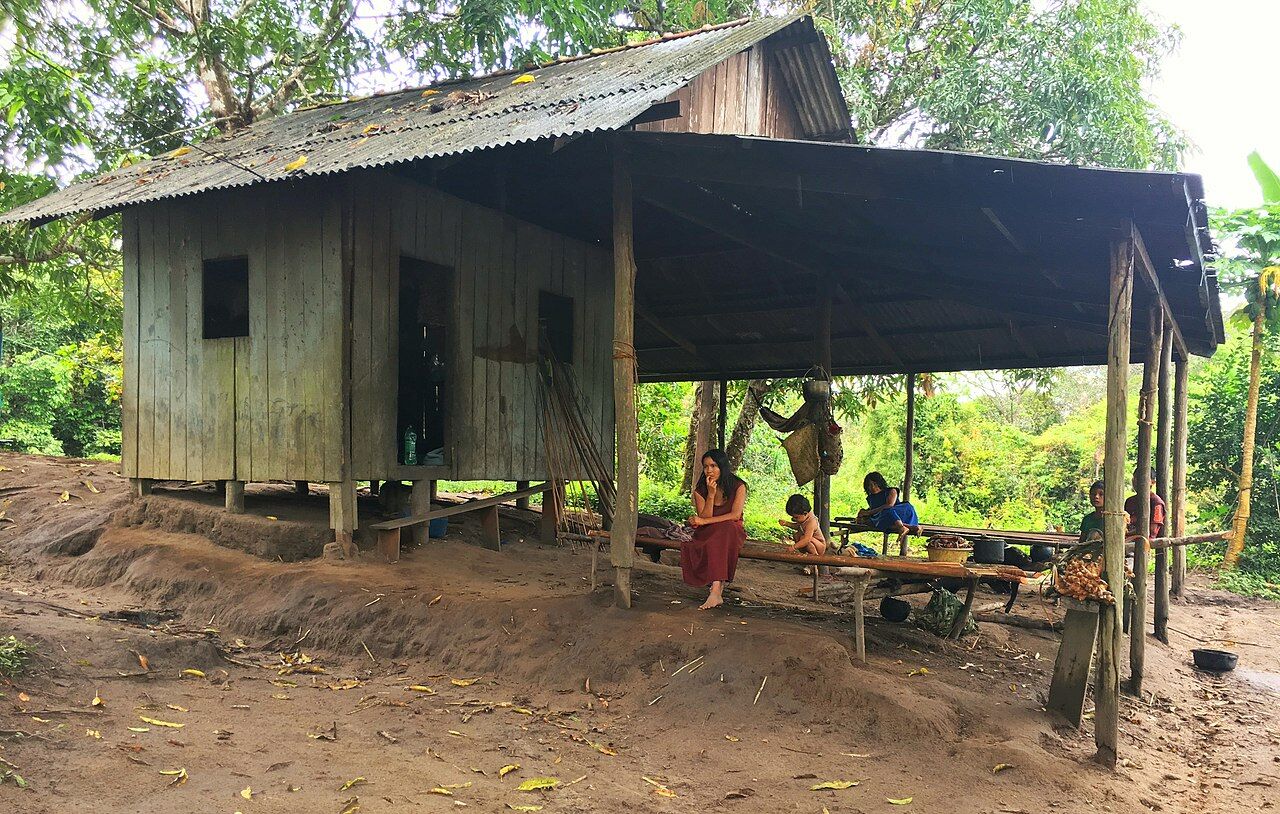 The Pirahã People Dare Chomsky: Do not know numbers or colors