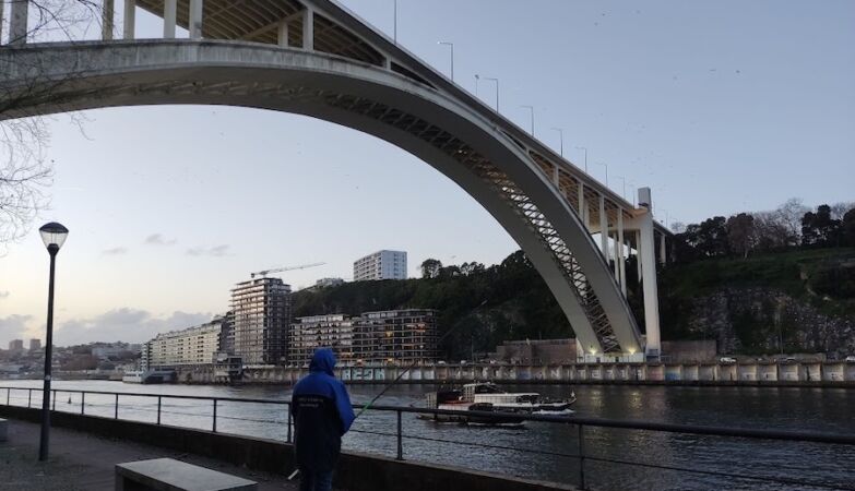 Porto and Gaia are turned on by boat - with the walker