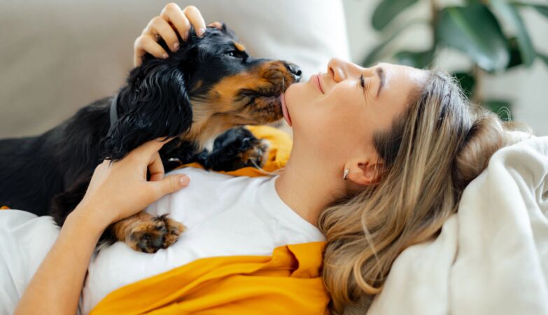 Watching dog videos can relieve stress and anxiety