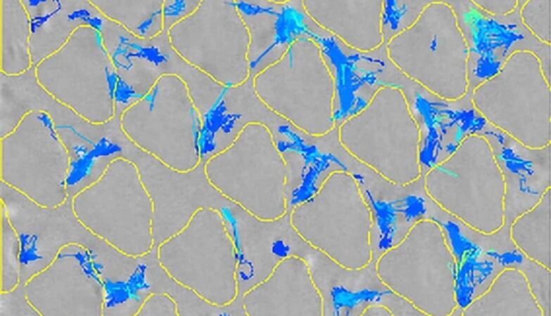 “Revolutionary Material Labyrinth” can prevent bacterial infections