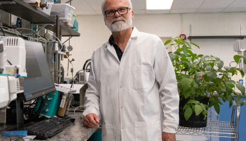 After all, plants can pollute the air we breathe (and it is the insects' fault)