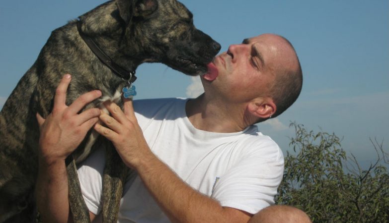 The theory that people get the personality of their dogs is no joke
