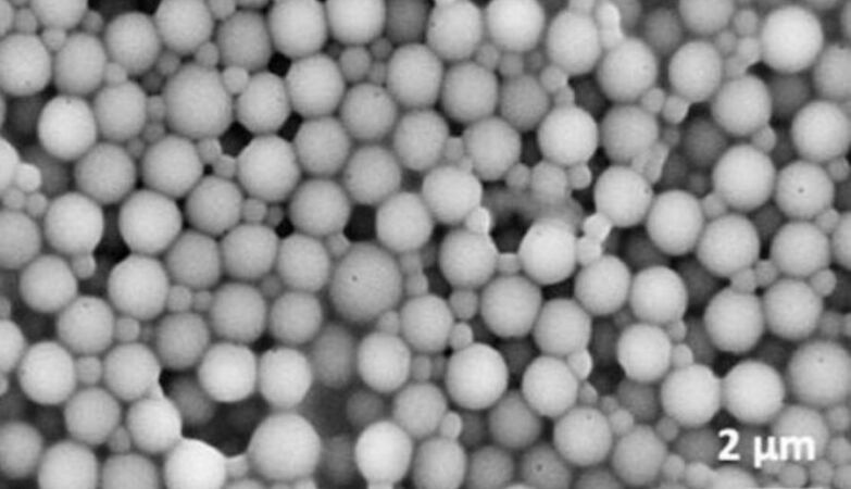 "No biochemistry is required." Harvard scientist says he created artificial life out of nowhere