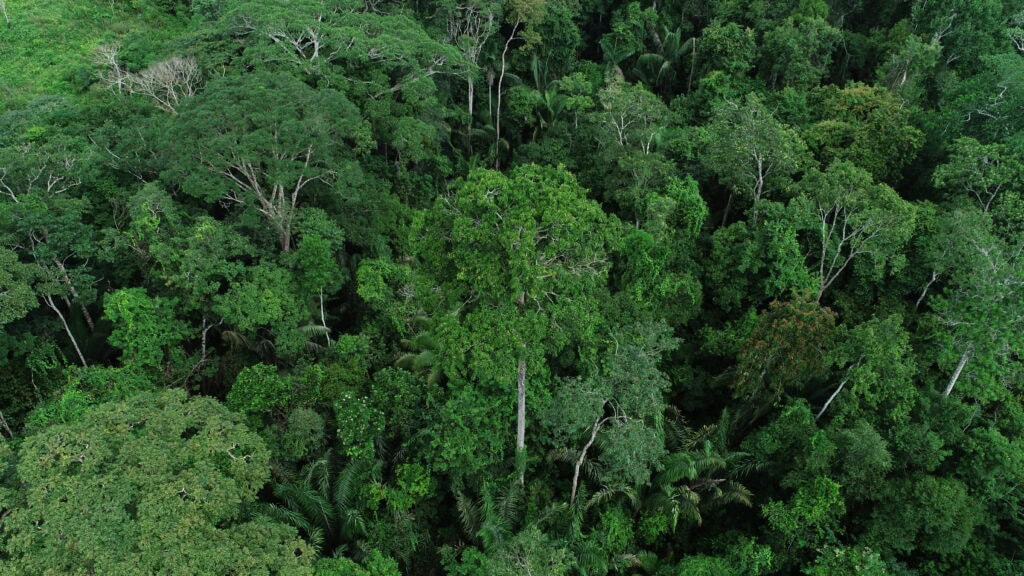 Bill wants to guarantee the right to land for Families of the Legal Amazon
