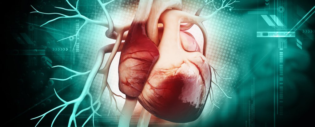 A month before the infarction, your body will warn you - here's what hidden signs are!