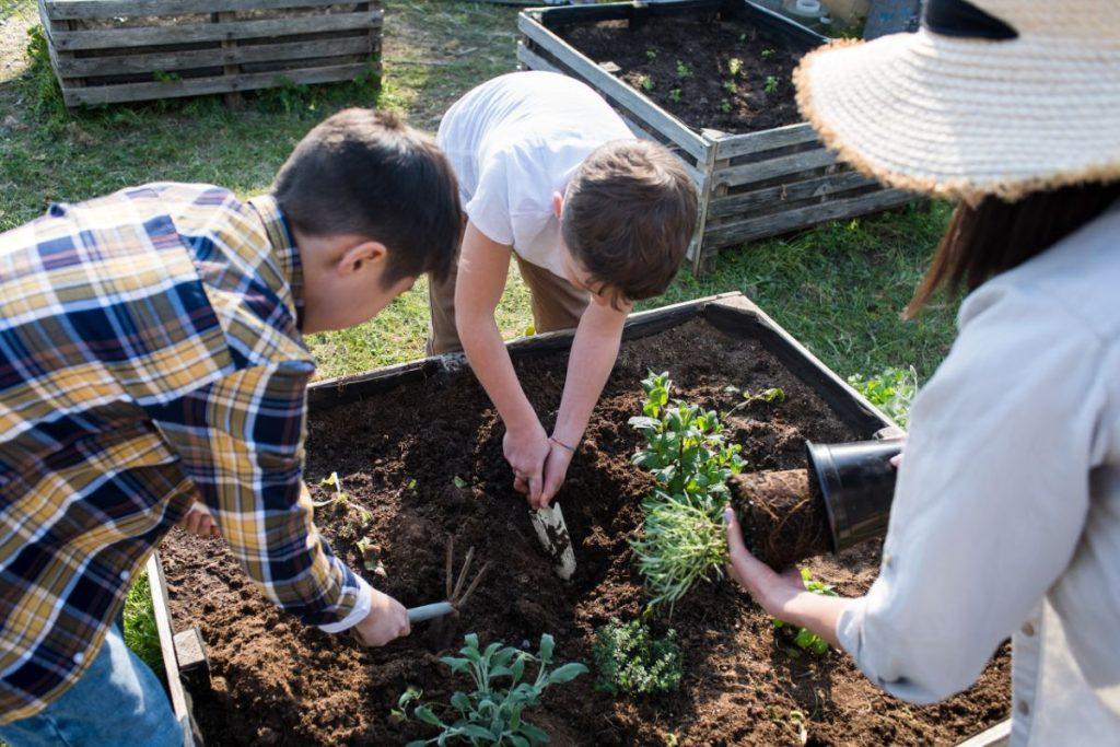 Why is it effective to plant these plants together?