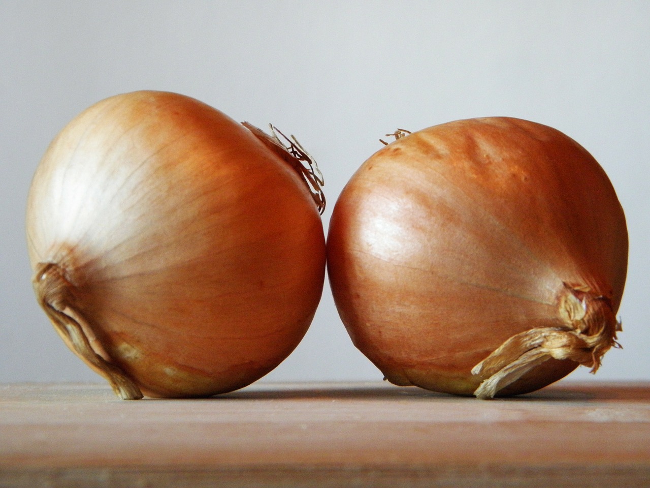 Strong sprouts that will ensure abundant harvest: use this solution for peppers and tomatoes!