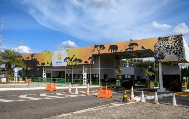 Brasília records first case of avian flu after a bird death at the zoo